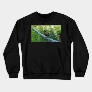 Mallard Duck Standing Ontop Of A Log Crewneck Sweatshirt